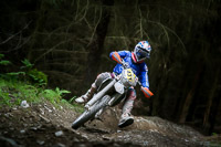 enduro-digital-images;enduro-photos;eventdigitalimages;llandrindod-wells;no-limits-trackdays;peter-wileman-photography;trackday-digital-images;wales;welsh-2-day-enduro