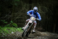 enduro-digital-images;enduro-photos;eventdigitalimages;llandrindod-wells;no-limits-trackdays;peter-wileman-photography;trackday-digital-images;wales;welsh-2-day-enduro