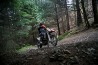 enduro-digital-images;enduro-photos;eventdigitalimages;llandrindod-wells;no-limits-trackdays;peter-wileman-photography;trackday-digital-images;wales;welsh-2-day-enduro