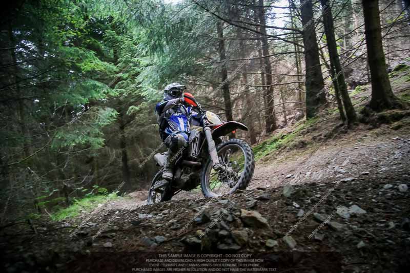 enduro digital images;enduro photos;eventdigitalimages;llandrindod wells;no limits trackdays;peter wileman photography;trackday digital images;wales;welsh 2 day enduro