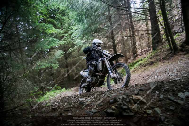 enduro digital images;enduro photos;eventdigitalimages;llandrindod wells;no limits trackdays;peter wileman photography;trackday digital images;wales;welsh 2 day enduro