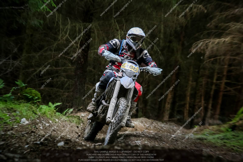 enduro digital images;enduro photos;eventdigitalimages;llandrindod wells;no limits trackdays;peter wileman photography;trackday digital images;wales;welsh 2 day enduro