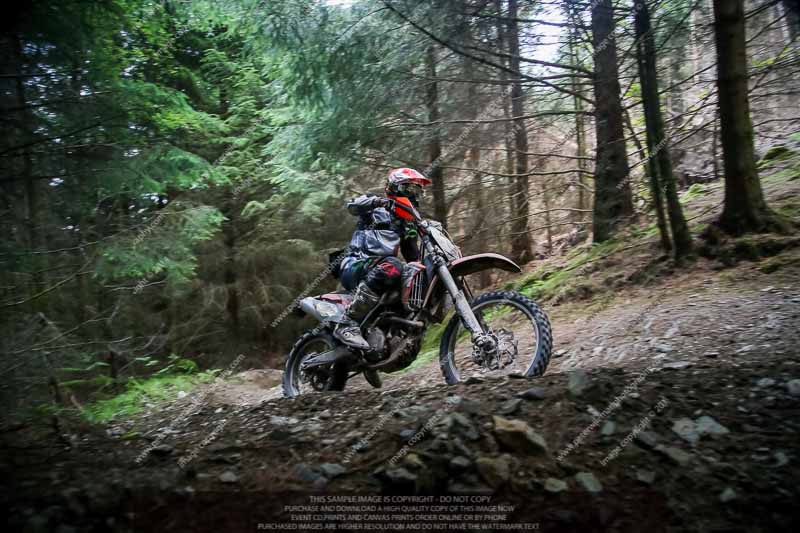 enduro digital images;enduro photos;eventdigitalimages;llandrindod wells;no limits trackdays;peter wileman photography;trackday digital images;wales;welsh 2 day enduro