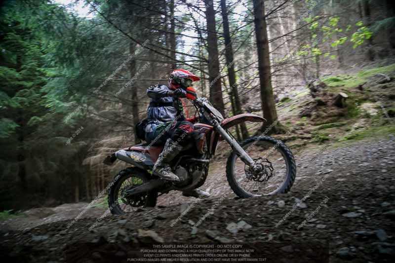 enduro digital images;enduro photos;eventdigitalimages;llandrindod wells;no limits trackdays;peter wileman photography;trackday digital images;wales;welsh 2 day enduro