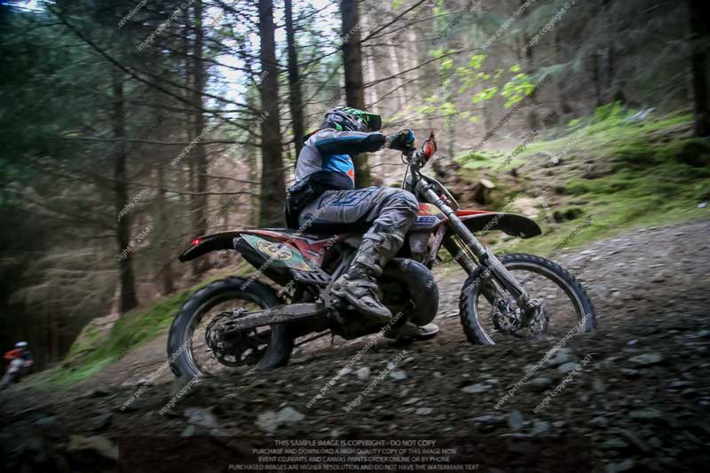 enduro digital images;enduro photos;eventdigitalimages;llandrindod wells;no limits trackdays;peter wileman photography;trackday digital images;wales;welsh 2 day enduro