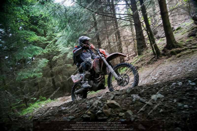 enduro digital images;enduro photos;eventdigitalimages;llandrindod wells;no limits trackdays;peter wileman photography;trackday digital images;wales;welsh 2 day enduro
