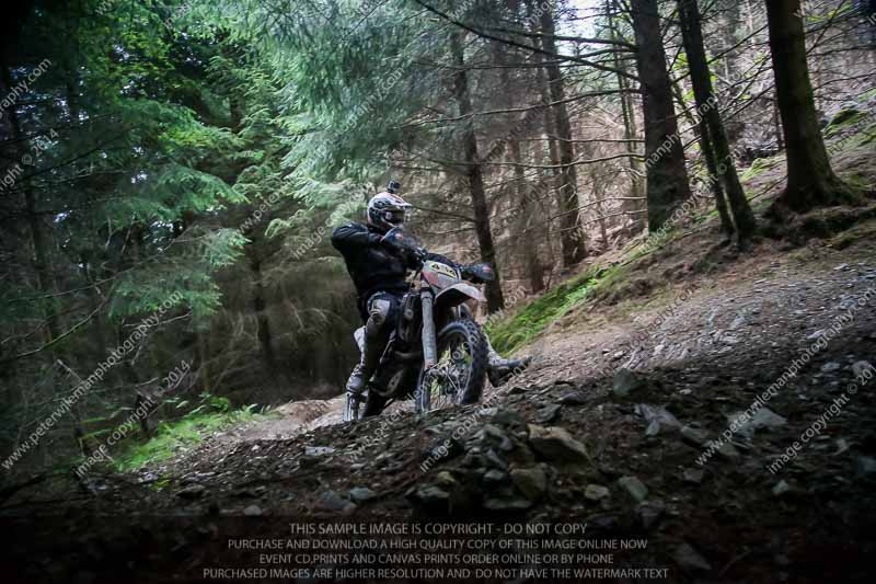 enduro digital images;enduro photos;eventdigitalimages;llandrindod wells;no limits trackdays;peter wileman photography;trackday digital images;wales;welsh 2 day enduro