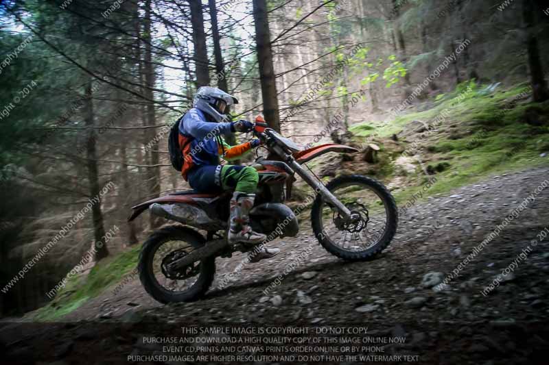 enduro digital images;enduro photos;eventdigitalimages;llandrindod wells;no limits trackdays;peter wileman photography;trackday digital images;wales;welsh 2 day enduro