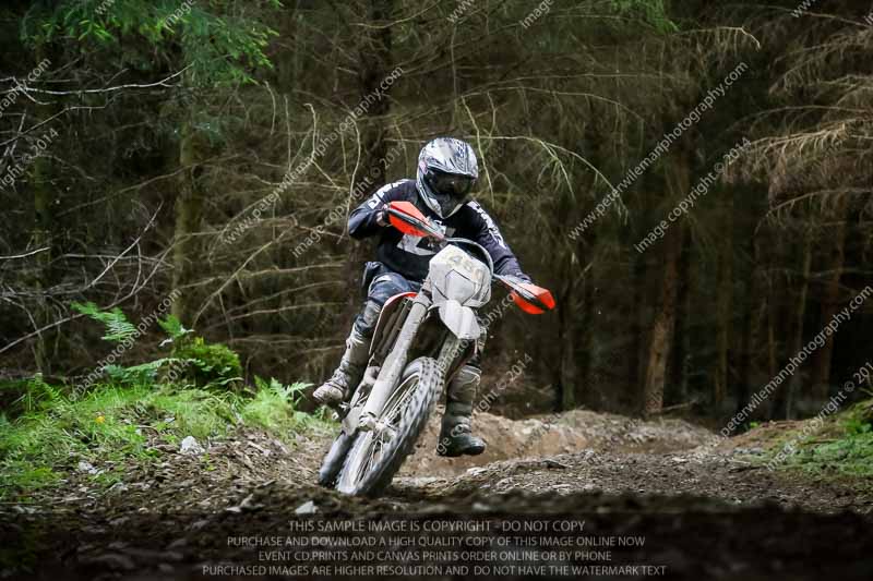 enduro digital images;enduro photos;eventdigitalimages;llandrindod wells;no limits trackdays;peter wileman photography;trackday digital images;wales;welsh 2 day enduro