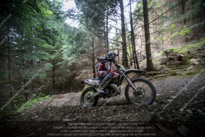 enduro digital images;enduro photos;eventdigitalimages;llandrindod wells;no limits trackdays;peter wileman photography;trackday digital images;wales;welsh 2 day enduro