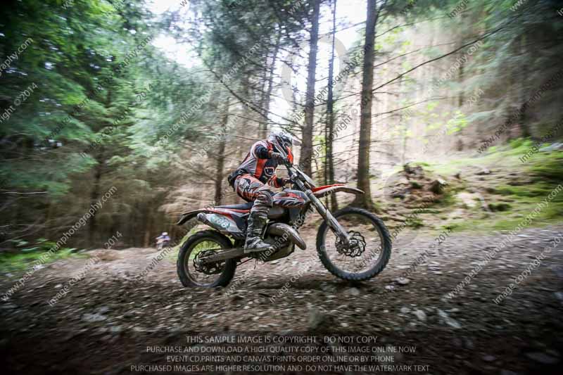 enduro digital images;enduro photos;eventdigitalimages;llandrindod wells;no limits trackdays;peter wileman photography;trackday digital images;wales;welsh 2 day enduro