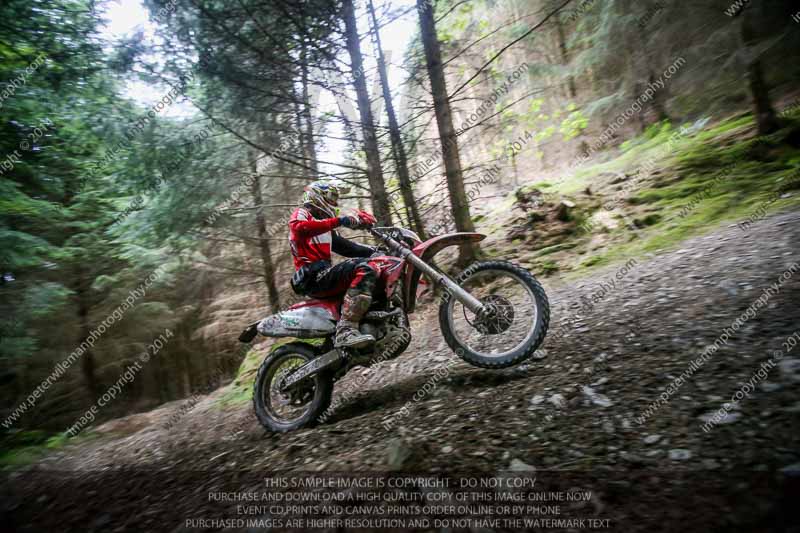enduro digital images;enduro photos;eventdigitalimages;llandrindod wells;no limits trackdays;peter wileman photography;trackday digital images;wales;welsh 2 day enduro
