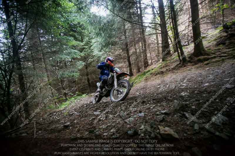 enduro digital images;enduro photos;eventdigitalimages;llandrindod wells;no limits trackdays;peter wileman photography;trackday digital images;wales;welsh 2 day enduro
