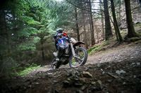 enduro-digital-images;enduro-photos;eventdigitalimages;llandrindod-wells;no-limits-trackdays;peter-wileman-photography;trackday-digital-images;wales;welsh-2-day-enduro
