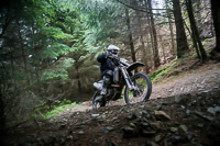 enduro-digital-images;enduro-photos;eventdigitalimages;llandrindod-wells;no-limits-trackdays;peter-wileman-photography;trackday-digital-images;wales;welsh-2-day-enduro