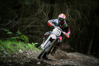 enduro-digital-images;enduro-photos;eventdigitalimages;llandrindod-wells;no-limits-trackdays;peter-wileman-photography;trackday-digital-images;wales;welsh-2-day-enduro