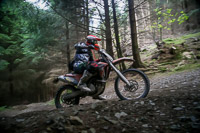 enduro-digital-images;enduro-photos;eventdigitalimages;llandrindod-wells;no-limits-trackdays;peter-wileman-photography;trackday-digital-images;wales;welsh-2-day-enduro
