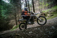 enduro-digital-images;enduro-photos;eventdigitalimages;llandrindod-wells;no-limits-trackdays;peter-wileman-photography;trackday-digital-images;wales;welsh-2-day-enduro