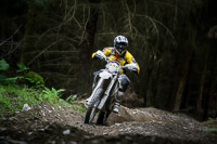 enduro-digital-images;enduro-photos;eventdigitalimages;llandrindod-wells;no-limits-trackdays;peter-wileman-photography;trackday-digital-images;wales;welsh-2-day-enduro