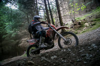 enduro-digital-images;enduro-photos;eventdigitalimages;llandrindod-wells;no-limits-trackdays;peter-wileman-photography;trackday-digital-images;wales;welsh-2-day-enduro