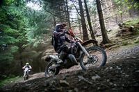 enduro-digital-images;enduro-photos;eventdigitalimages;llandrindod-wells;no-limits-trackdays;peter-wileman-photography;trackday-digital-images;wales;welsh-2-day-enduro