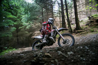 enduro-digital-images;enduro-photos;eventdigitalimages;llandrindod-wells;no-limits-trackdays;peter-wileman-photography;trackday-digital-images;wales;welsh-2-day-enduro