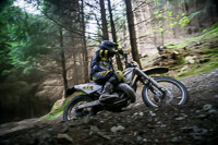 enduro-digital-images;enduro-photos;eventdigitalimages;llandrindod-wells;no-limits-trackdays;peter-wileman-photography;trackday-digital-images;wales;welsh-2-day-enduro