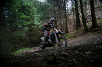 enduro-digital-images;enduro-photos;eventdigitalimages;llandrindod-wells;no-limits-trackdays;peter-wileman-photography;trackday-digital-images;wales;welsh-2-day-enduro