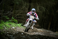 enduro-digital-images;enduro-photos;eventdigitalimages;llandrindod-wells;no-limits-trackdays;peter-wileman-photography;trackday-digital-images;wales;welsh-2-day-enduro