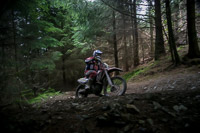 enduro-digital-images;enduro-photos;eventdigitalimages;llandrindod-wells;no-limits-trackdays;peter-wileman-photography;trackday-digital-images;wales;welsh-2-day-enduro