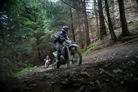 enduro-digital-images;enduro-photos;eventdigitalimages;llandrindod-wells;no-limits-trackdays;peter-wileman-photography;trackday-digital-images;wales;welsh-2-day-enduro