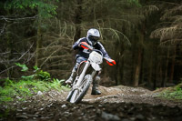 enduro-digital-images;enduro-photos;eventdigitalimages;llandrindod-wells;no-limits-trackdays;peter-wileman-photography;trackday-digital-images;wales;welsh-2-day-enduro