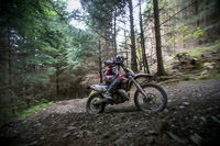 enduro-digital-images;enduro-photos;eventdigitalimages;llandrindod-wells;no-limits-trackdays;peter-wileman-photography;trackday-digital-images;wales;welsh-2-day-enduro