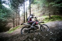 enduro-digital-images;enduro-photos;eventdigitalimages;llandrindod-wells;no-limits-trackdays;peter-wileman-photography;trackday-digital-images;wales;welsh-2-day-enduro