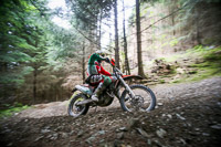 enduro-digital-images;enduro-photos;eventdigitalimages;llandrindod-wells;no-limits-trackdays;peter-wileman-photography;trackday-digital-images;wales;welsh-2-day-enduro
