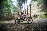 enduro-digital-images;enduro-photos;eventdigitalimages;llandrindod-wells;no-limits-trackdays;peter-wileman-photography;trackday-digital-images;wales;welsh-2-day-enduro