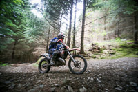 enduro-digital-images;enduro-photos;eventdigitalimages;llandrindod-wells;no-limits-trackdays;peter-wileman-photography;trackday-digital-images;wales;welsh-2-day-enduro