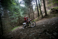 enduro-digital-images;enduro-photos;eventdigitalimages;llandrindod-wells;no-limits-trackdays;peter-wileman-photography;trackday-digital-images;wales;welsh-2-day-enduro