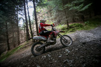 enduro-digital-images;enduro-photos;eventdigitalimages;llandrindod-wells;no-limits-trackdays;peter-wileman-photography;trackday-digital-images;wales;welsh-2-day-enduro