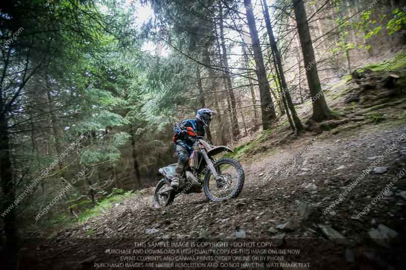enduro digital images;enduro photos;eventdigitalimages;llandrindod wells;no limits trackdays;peter wileman photography;trackday digital images;wales;welsh 2 day enduro