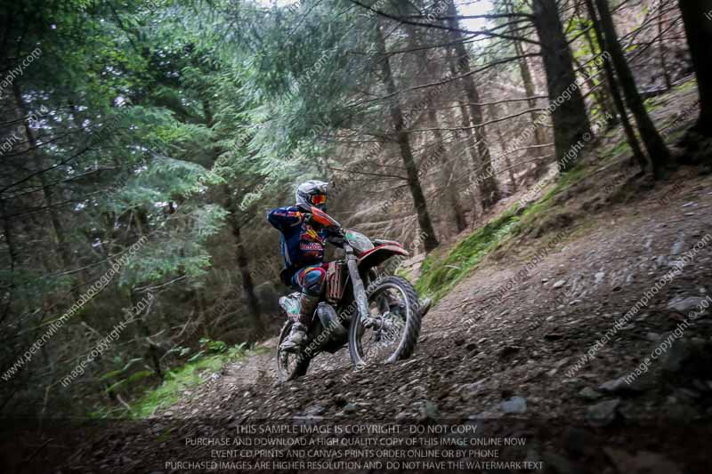 enduro digital images;enduro photos;eventdigitalimages;llandrindod wells;no limits trackdays;peter wileman photography;trackday digital images;wales;welsh 2 day enduro