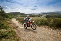 enduro-digital-images;enduro-photos;eventdigitalimages;llandrindod-wells;no-limits-trackdays;peter-wileman-photography;trackday-digital-images;wales;welsh-2-day-enduro