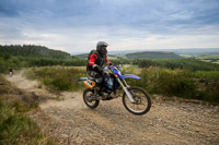 enduro-digital-images;enduro-photos;eventdigitalimages;llandrindod-wells;no-limits-trackdays;peter-wileman-photography;trackday-digital-images;wales;welsh-2-day-enduro