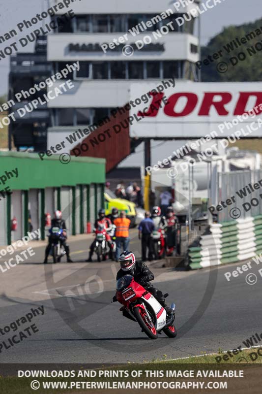 Vintage motorcycle club;eventdigitalimages;mallory park;mallory park trackday photographs;no limits trackdays;peter wileman photography;trackday digital images;trackday photos;vmcc festival 1000 bikes photographs