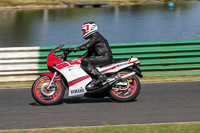 Vintage-motorcycle-club;eventdigitalimages;mallory-park;mallory-park-trackday-photographs;no-limits-trackdays;peter-wileman-photography;trackday-digital-images;trackday-photos;vmcc-festival-1000-bikes-photographs