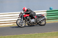 Vintage-motorcycle-club;eventdigitalimages;mallory-park;mallory-park-trackday-photographs;no-limits-trackdays;peter-wileman-photography;trackday-digital-images;trackday-photos;vmcc-festival-1000-bikes-photographs