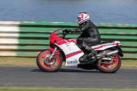 Vintage-motorcycle-club;eventdigitalimages;mallory-park;mallory-park-trackday-photographs;no-limits-trackdays;peter-wileman-photography;trackday-digital-images;trackday-photos;vmcc-festival-1000-bikes-photographs