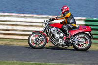 Vintage-motorcycle-club;eventdigitalimages;mallory-park;mallory-park-trackday-photographs;no-limits-trackdays;peter-wileman-photography;trackday-digital-images;trackday-photos;vmcc-festival-1000-bikes-photographs