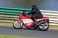 Vintage-motorcycle-club;eventdigitalimages;mallory-park;mallory-park-trackday-photographs;no-limits-trackdays;peter-wileman-photography;trackday-digital-images;trackday-photos;vmcc-festival-1000-bikes-photographs