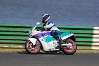 Vintage-motorcycle-club;eventdigitalimages;mallory-park;mallory-park-trackday-photographs;no-limits-trackdays;peter-wileman-photography;trackday-digital-images;trackday-photos;vmcc-festival-1000-bikes-photographs